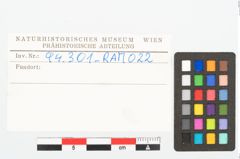 Etikett zu Eisenkonvolut (NHMW-PRAE-094301)
